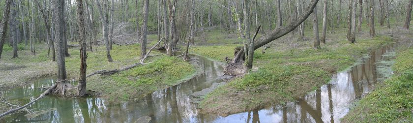 Terrapin Creek State Nature Preserve