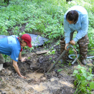Division of Water inspectors taking samples from a stream