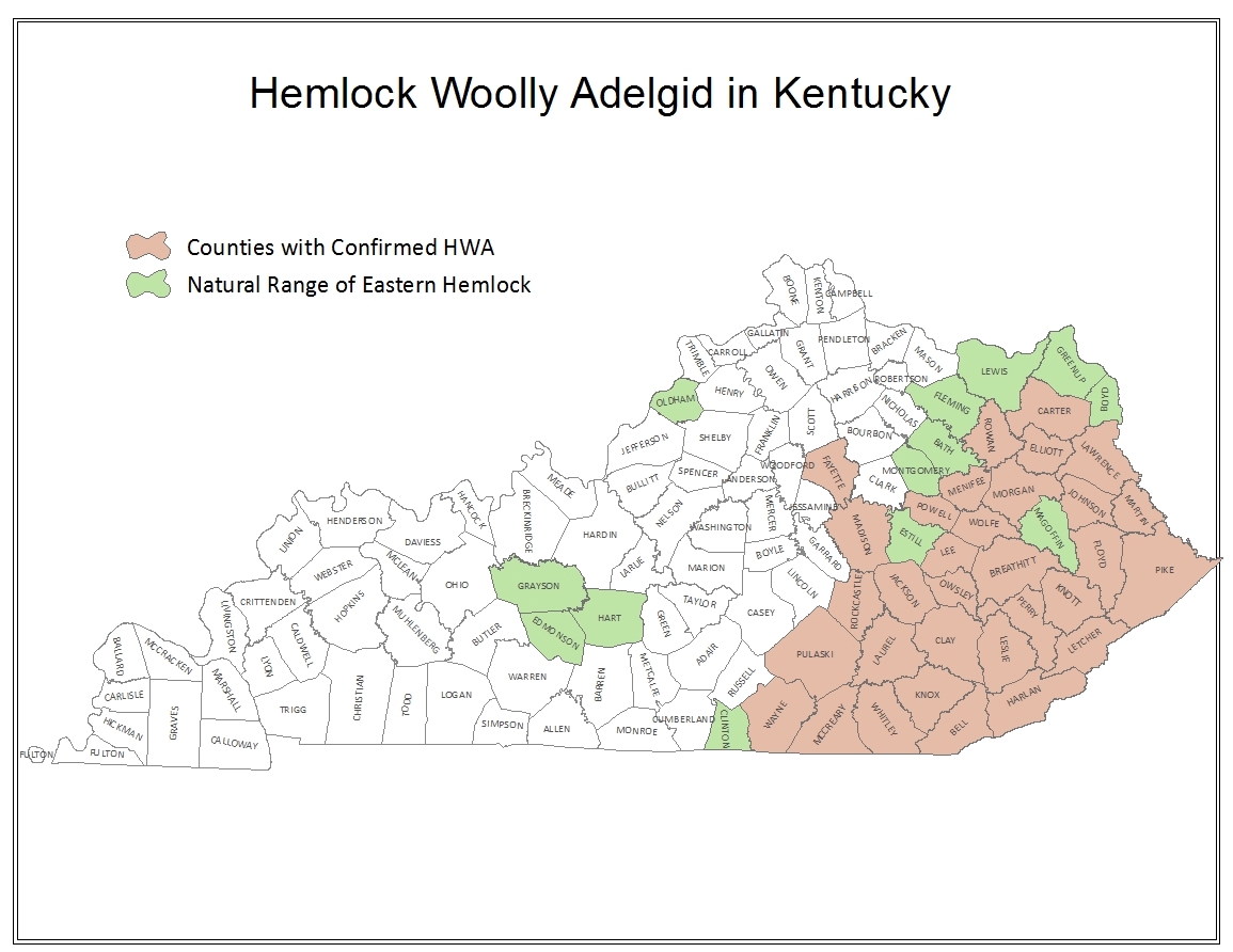 Hemlock Woolly Adelgid Infested Counties