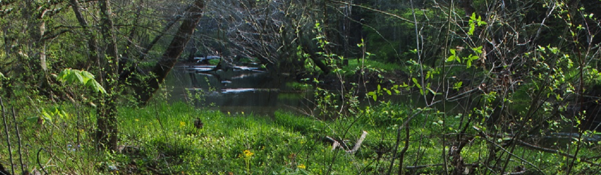 Buck Creek Preserve