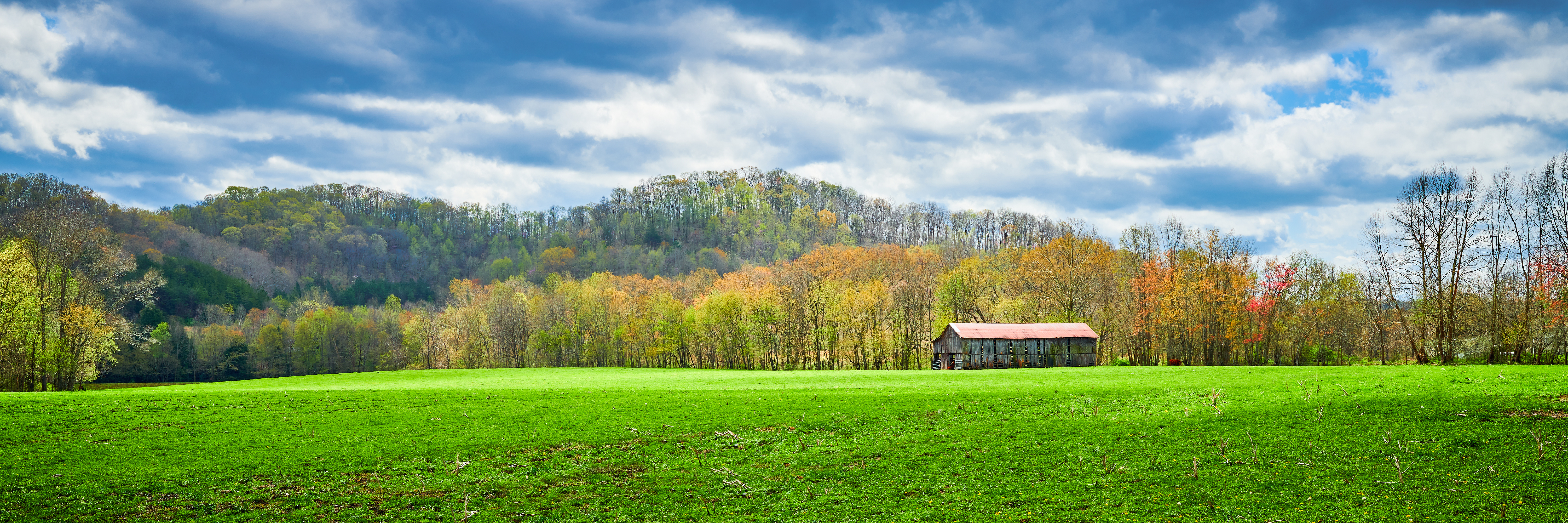 Tobacco barn in field