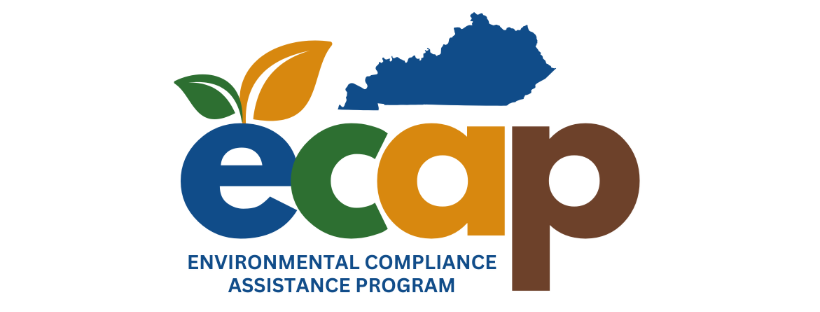 ECAP logo consisting of bold, colored letters with leaves appearing to sprout from the letter "e."