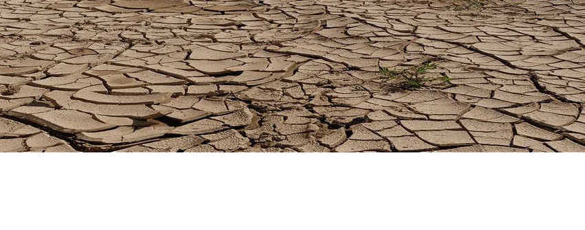 Drought Conditions