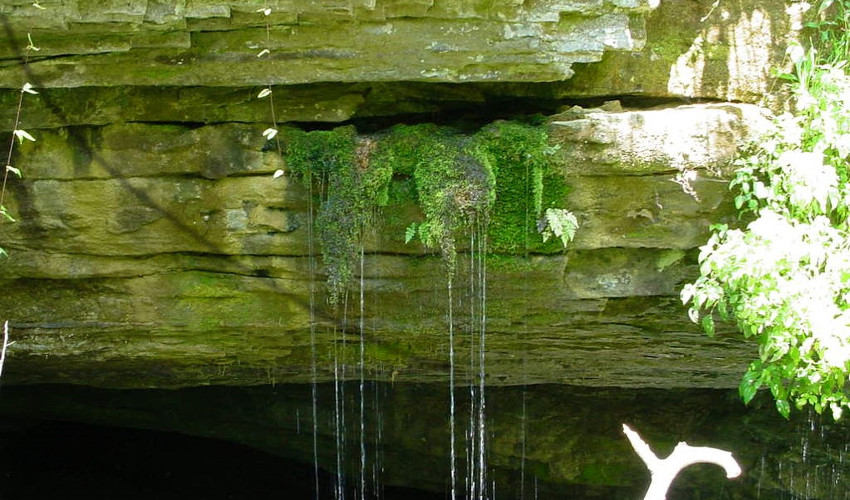 Watts Cave Epikarst Spring