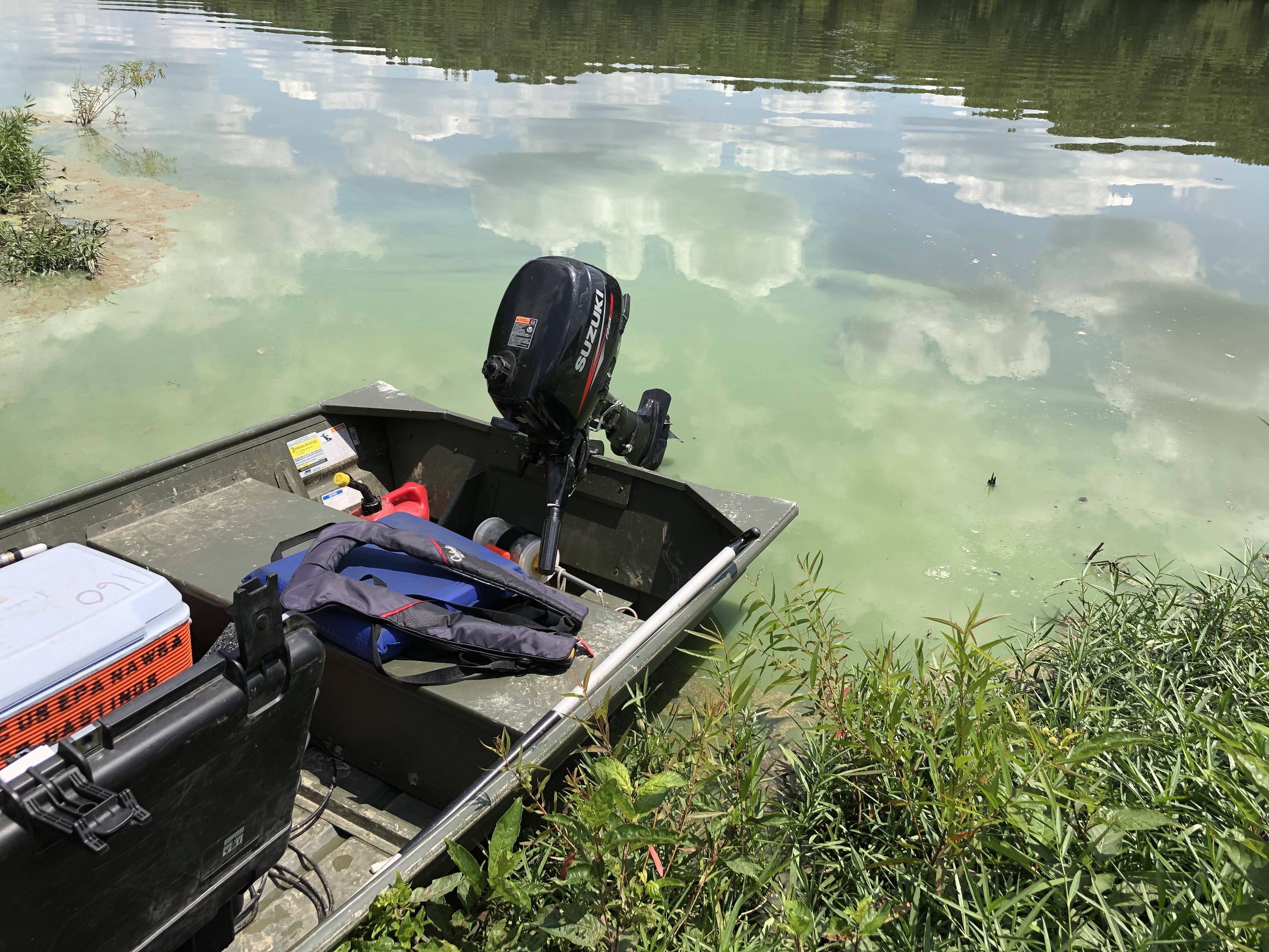 Harmful algal bloom on a lake