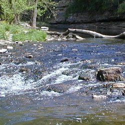 Creek flowing over rocks with trees in the foreground and background.