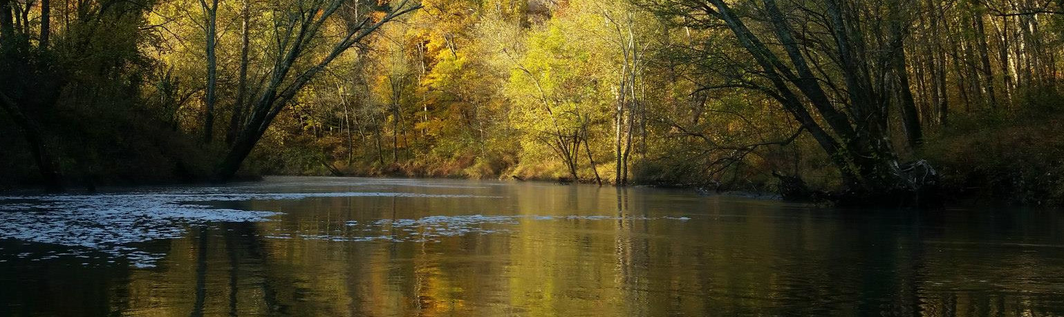 Nolin River in Fall