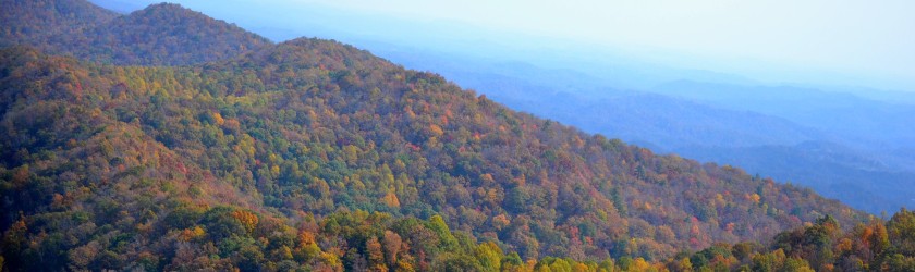Fall on Pine Mountain