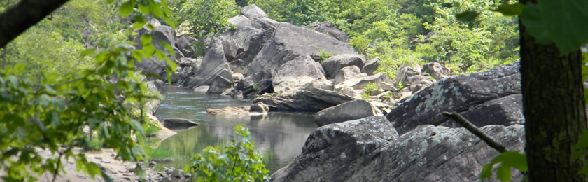 creek with large boulders