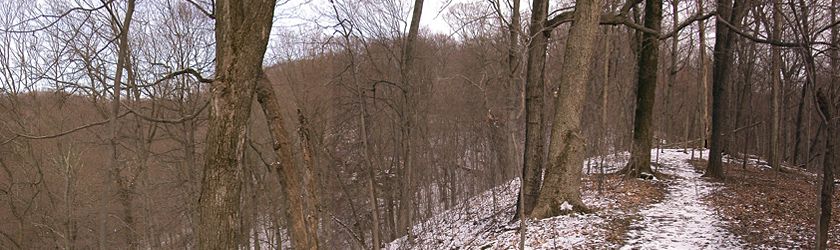 Boone Cliffs and Dinsmore Woods State Nature Preserves