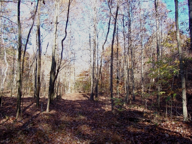 Knobs State Forest and Wildlife Management Area