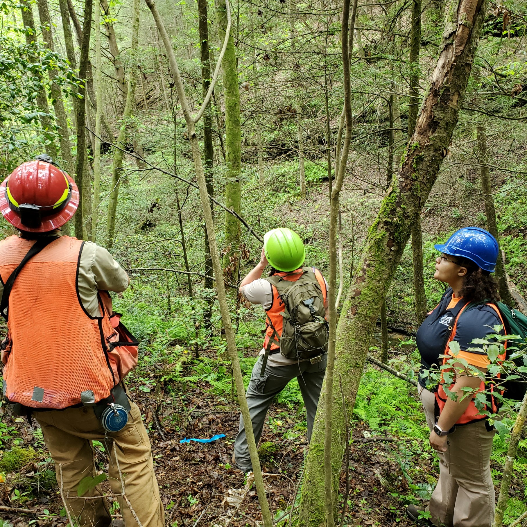 Inventory crew taking tree height measurements