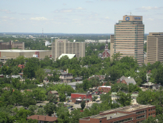 Urban Forest Scene
