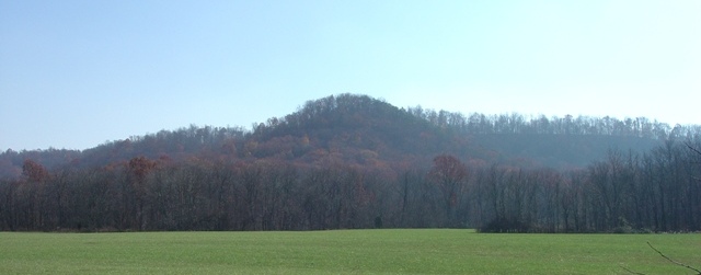 Panoramic view of Marion County Wildlife Management Area and State Forest.