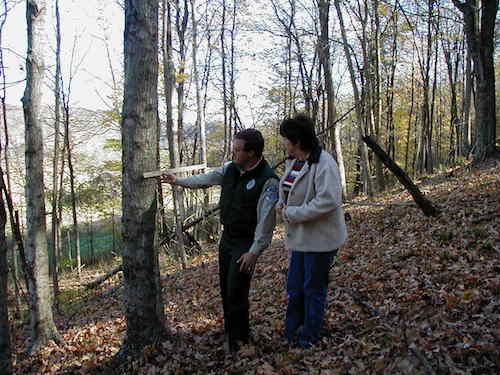 Forester working with a landowner.