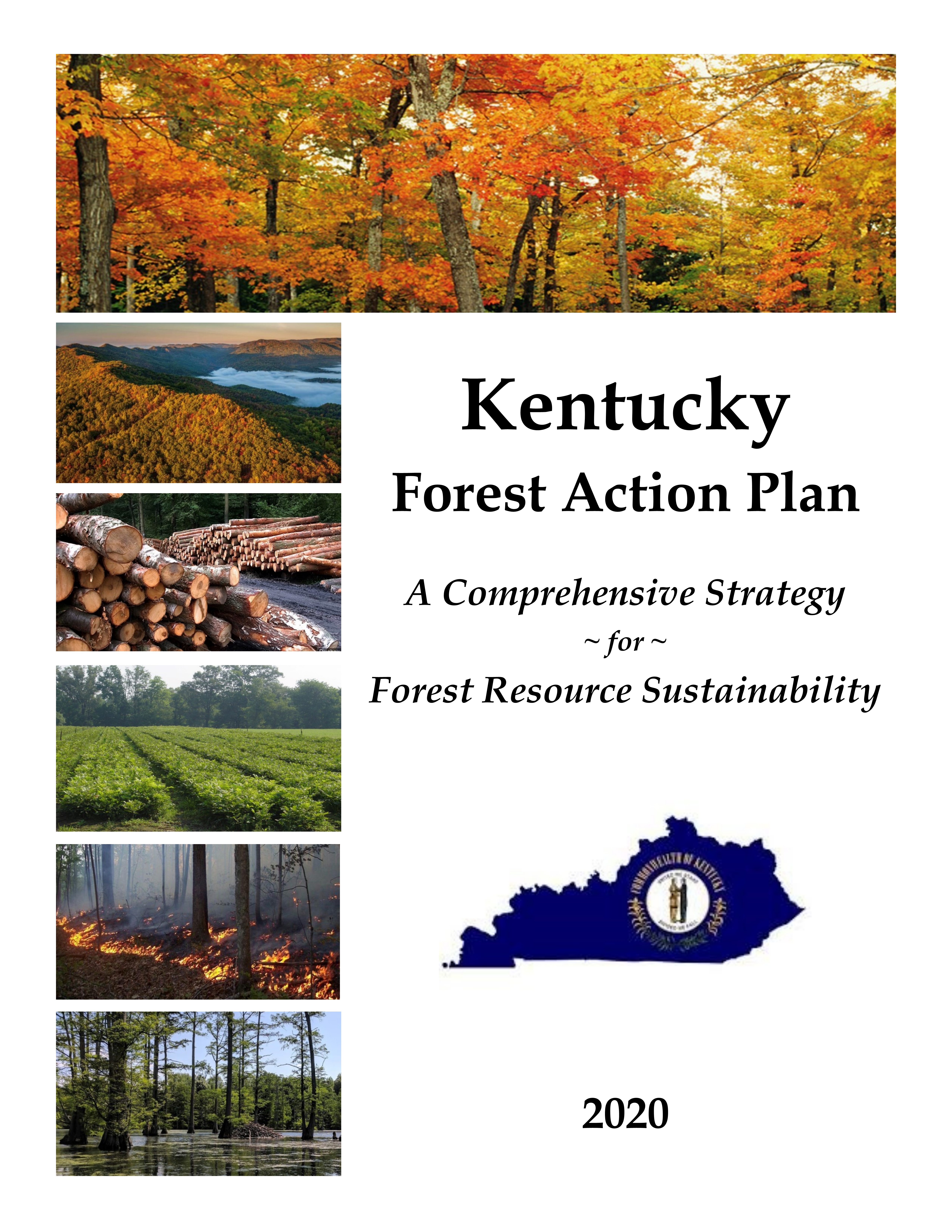 Statewide Assessment of Forest Resources and Strategy presentation image