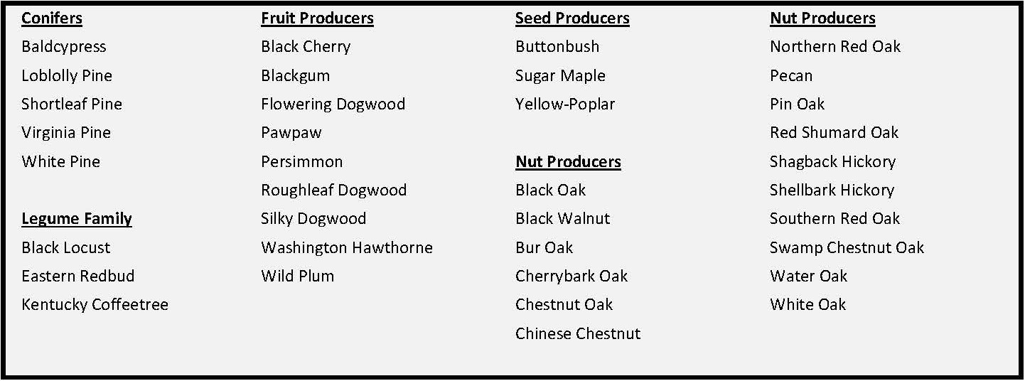 2025-2026 seedling list1.jpg