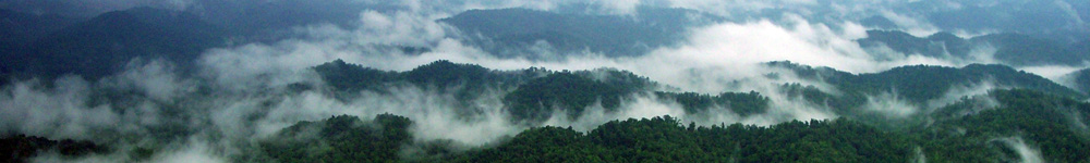 Morning Mist in the Mountains