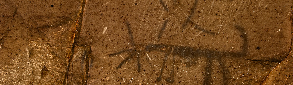 A charcoal cave drawing of an animal on the wall by ancient people at Crumps Cave.