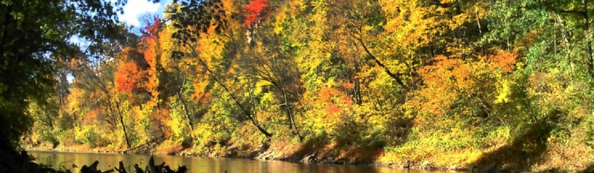 Rush Island Watershed and Wildlife Conservation Area in the autumn; photo by Zeb Weese