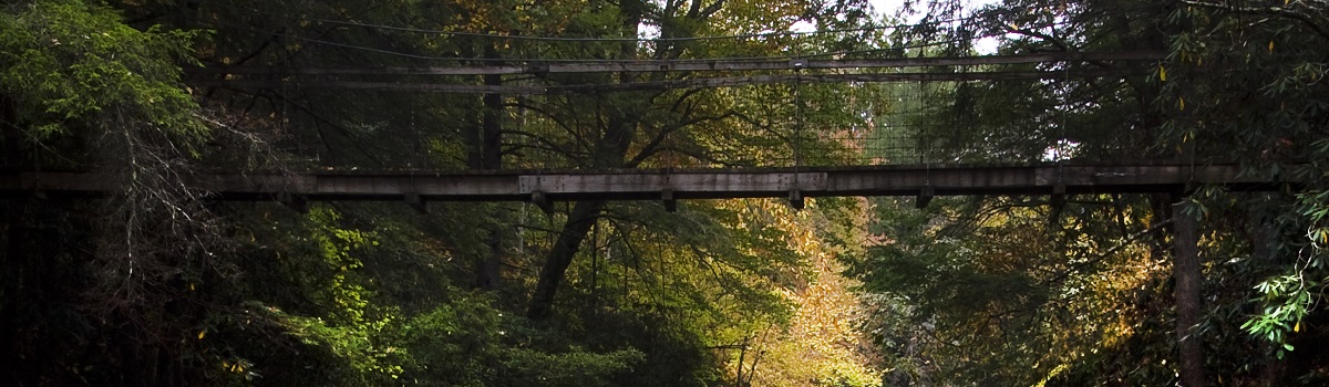 Sheltowee Trace Trail swinging bridge, one of only two found in the Daniel Boone National Forest, over sinking creek.