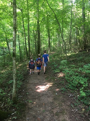 Children walking down a forest trail