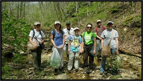Group of seven biologists with plasitc bags full of invasive plants standing in a rocky creek bed in spring forest