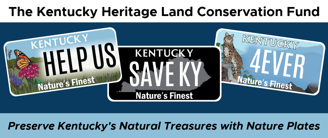 Three Nature License plates that show an orange butterfly, black Kentucky outline, and brown bobcat.