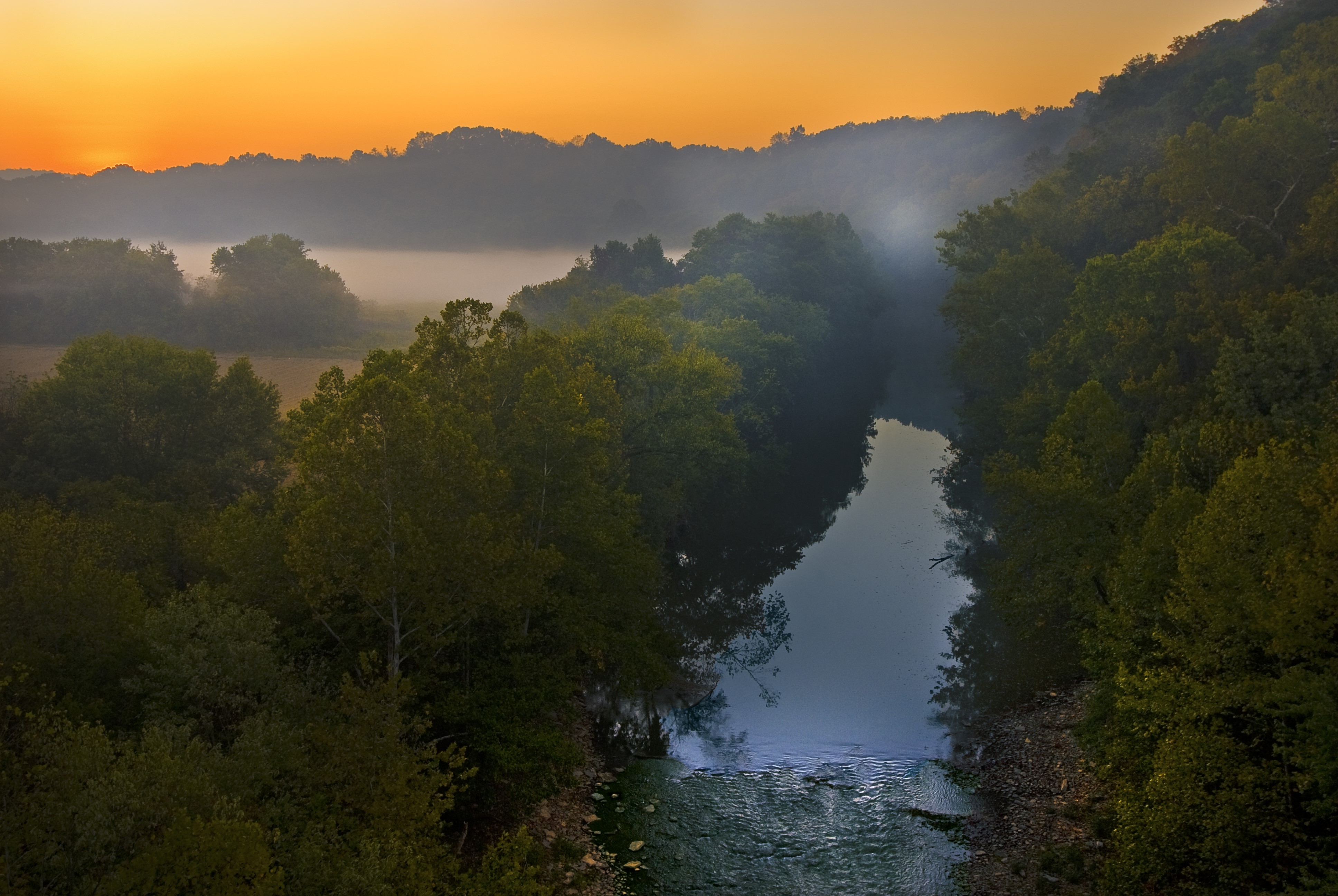 Forested and foggy river with golden orange sunset,