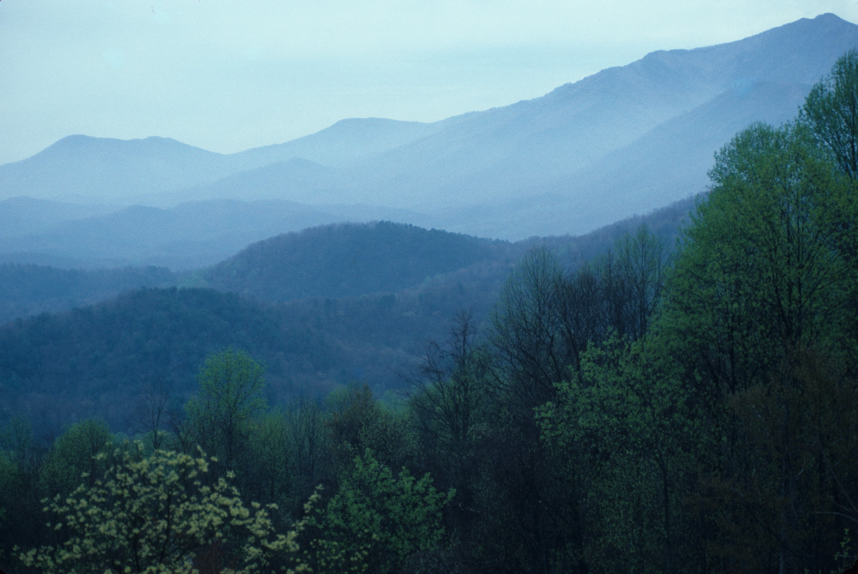 Vista view of green blue mountain ridges