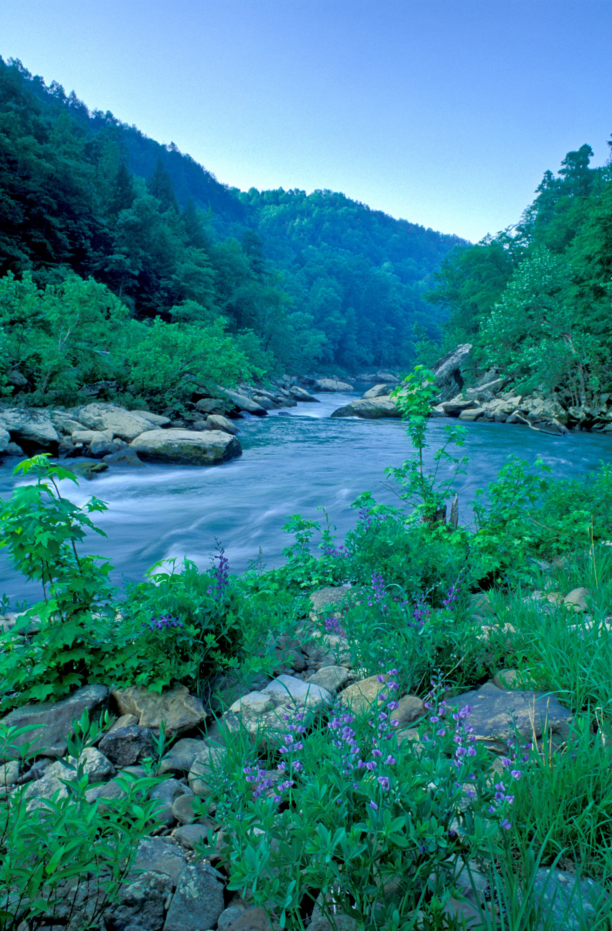 Wild river with large boulders and vegetation, with green forested hills in the background