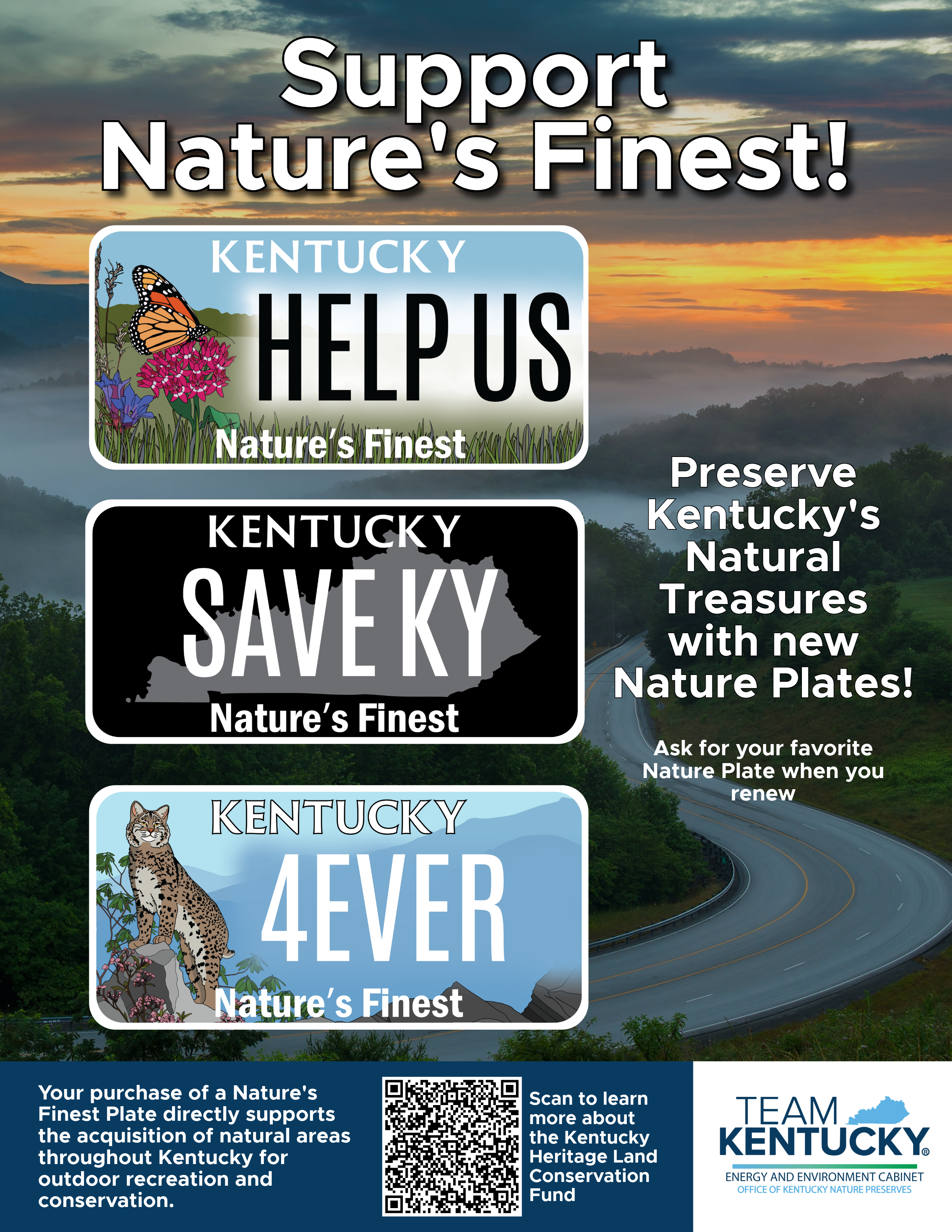 License plates with butterfly, black outline of Kentucky, and bobcat on a forested road at sunset background