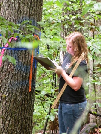 Student measuring tree